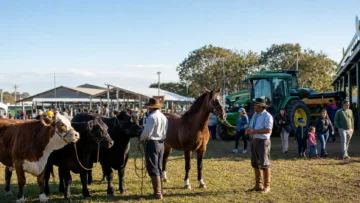 Expointer 2026 começa neste sábado com quase 8 mil animais, agricultura familiar, tecnologia e atrações culturais