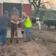 Cavalo em situação de maus-tratos é resgatado em Cerro Alegre Baixo