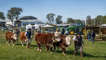 Expointer 2026 reunirá mais de 5,7 mil animais em Esteio