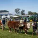 Expointer 2026 reunirá mais de 5,7 mil animais em Esteio