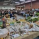 Sementes que atravessam gerações: encontro reúne cerca de 600 pessoas em defesa da agrobiodiversidade