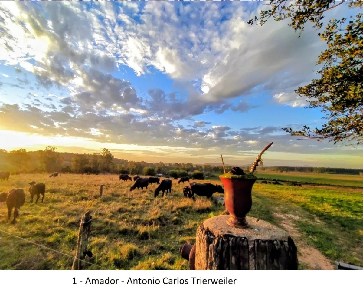 Concurso Santa Foto Tchê divulga vencedores da Semana Farroupilha 2026