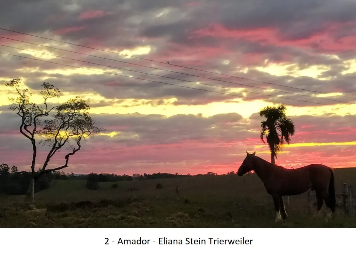 Concurso Santa Foto Tchê divulga vencedores da Semana Farroupilha 2026